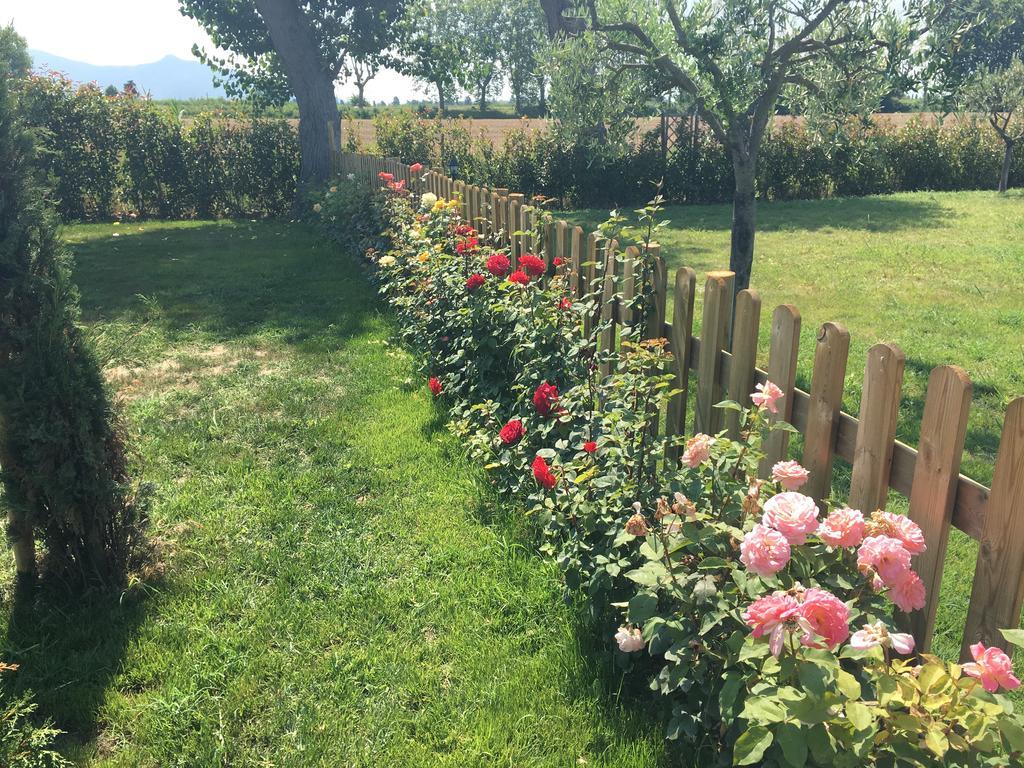 B&B Antica Dimora San Giuliano Terme Luaran gambar